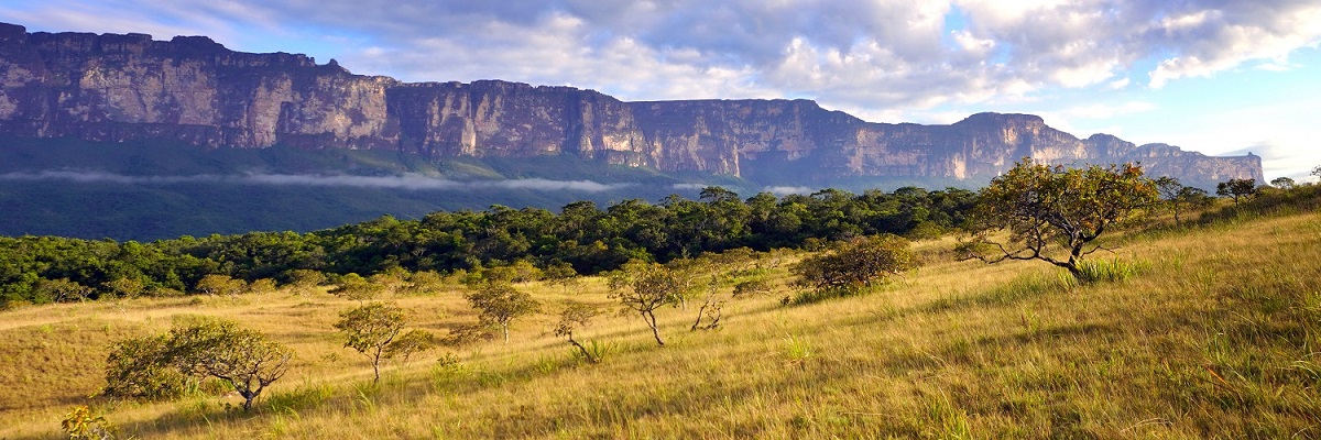 VENEZUELA Chimanta Expedíció 2027