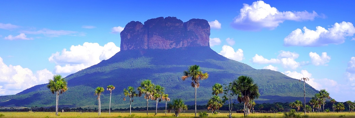 VENEZUELA Chimanta Expedíció 2027